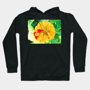 Zinnia Study 2 Hoodie